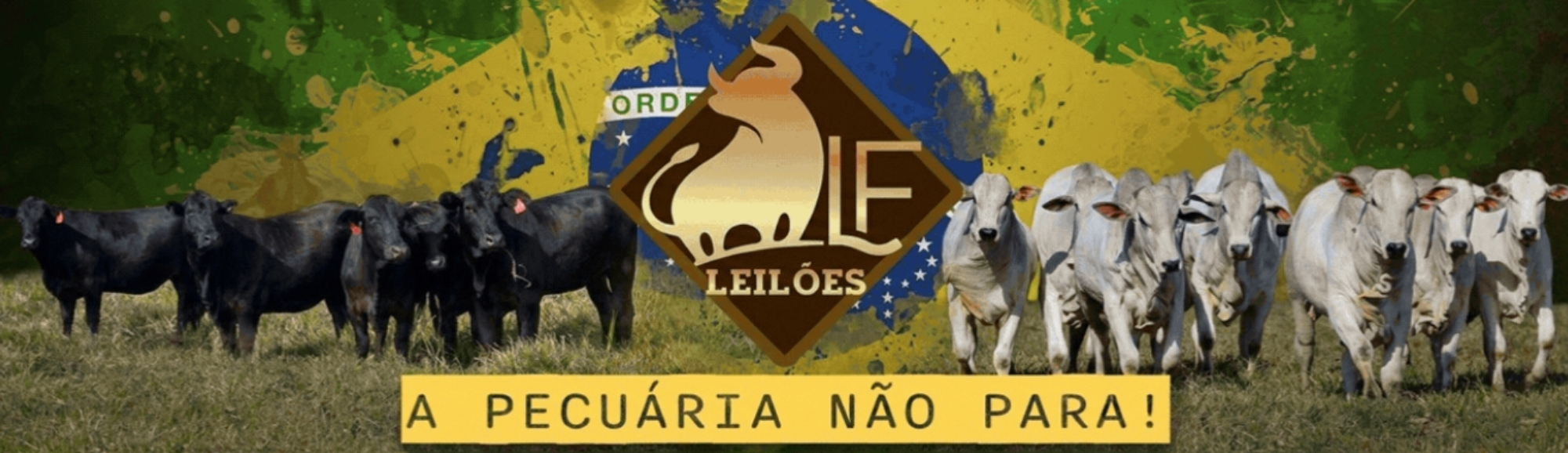 LF Leilões