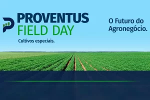 Evento Proventus Field Day em Sorriso, MT, com lavoura de milho e produtores explorando cultivares especiais.