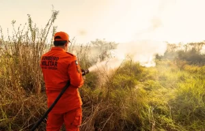 Bombeiro de costas combatendo queimada em área rural durante período seco em Rondonópolis.