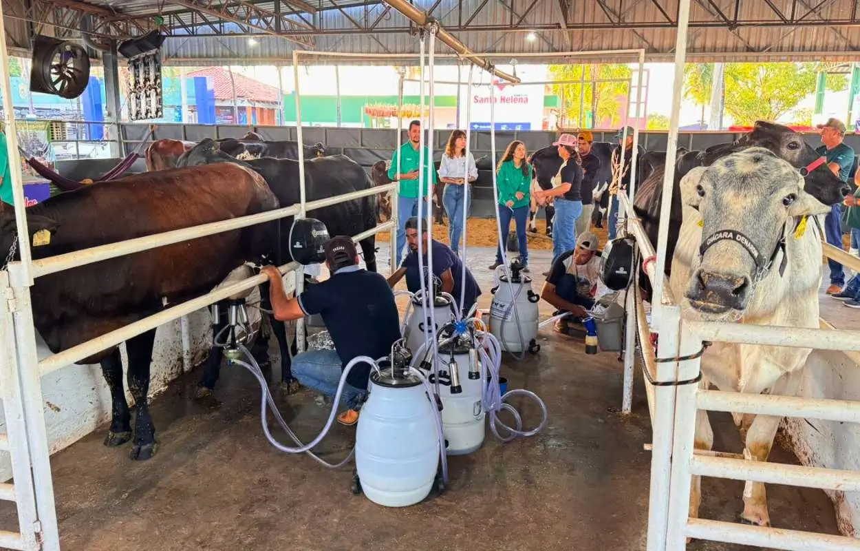 51a Exposul Primeira ordenha marca inicio da disputa da 31a edicao do Torneio Leiteiro Atitude MT