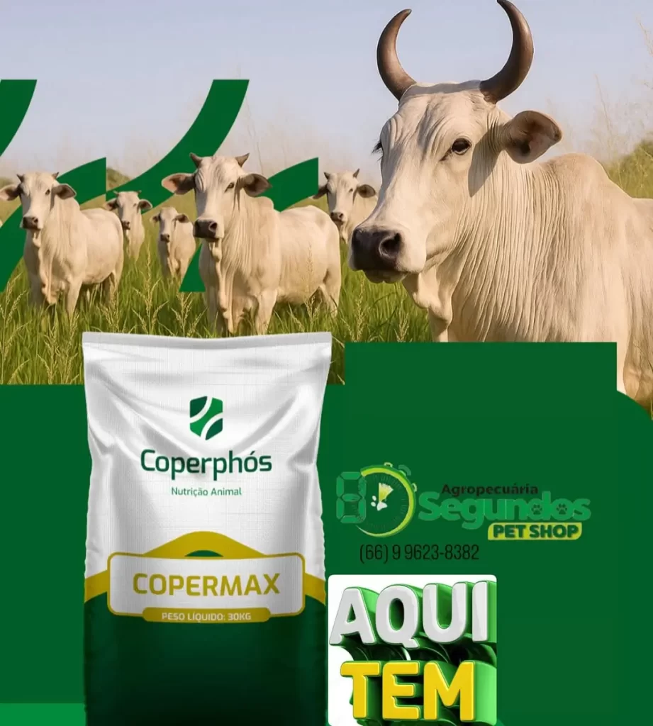 Aqui na 8 SEGUNDOS AGROPECUARIA voce encontra racao da melhor qualidade para seu gado diretamen Atitude MT