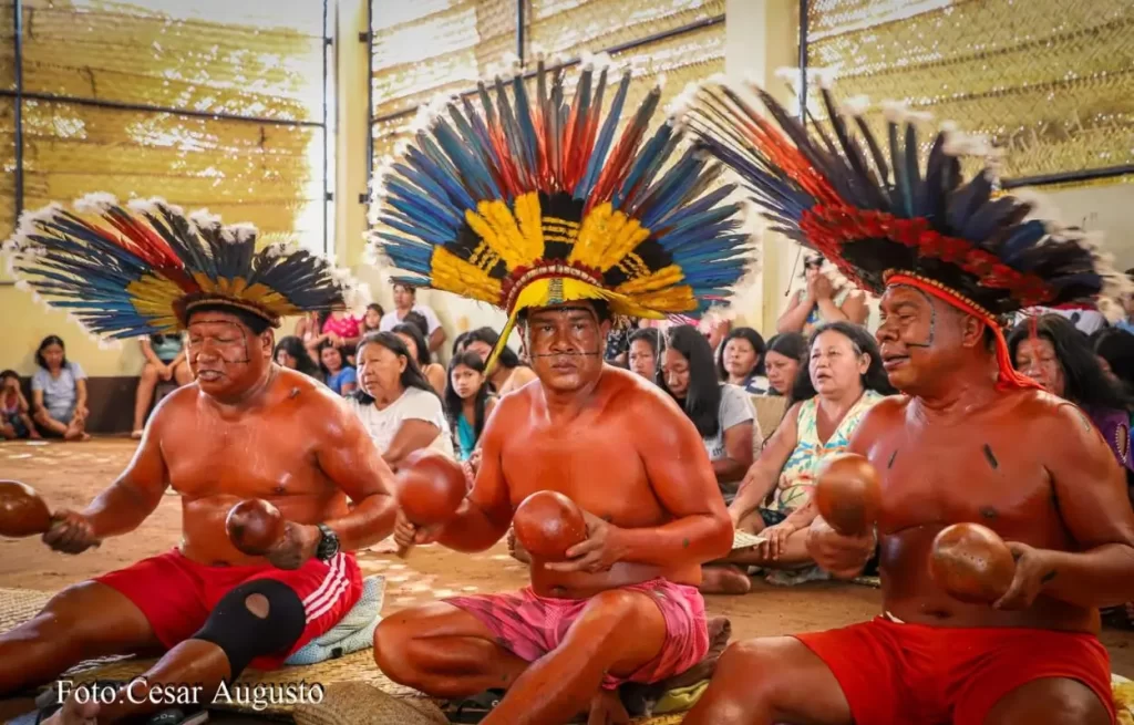 Camara de Rondonopolis 2 Atitude MT