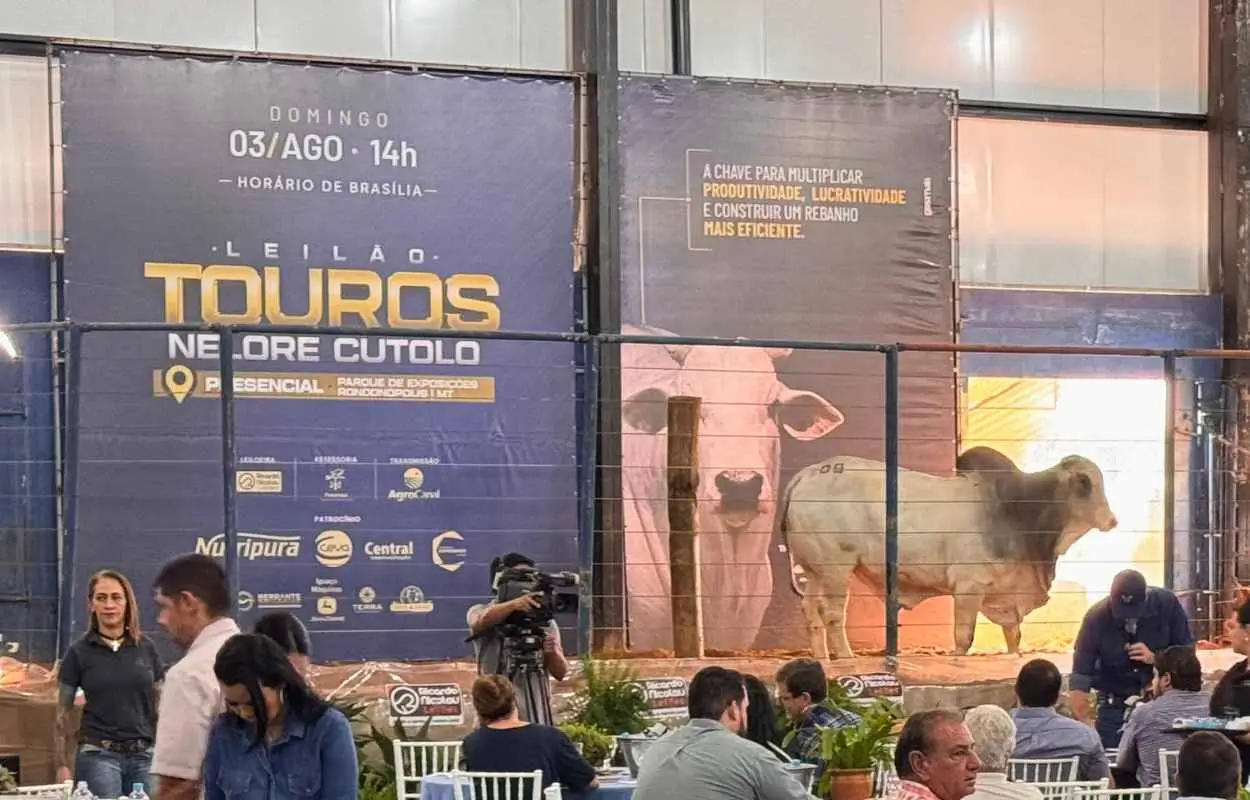 Leilao da 51a Atitude MT