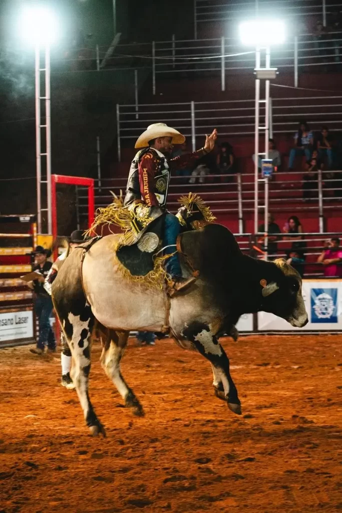 Imagem do WhatsApp de 2025 09 18 as 10.07.18 eb152f47 Atitude MT