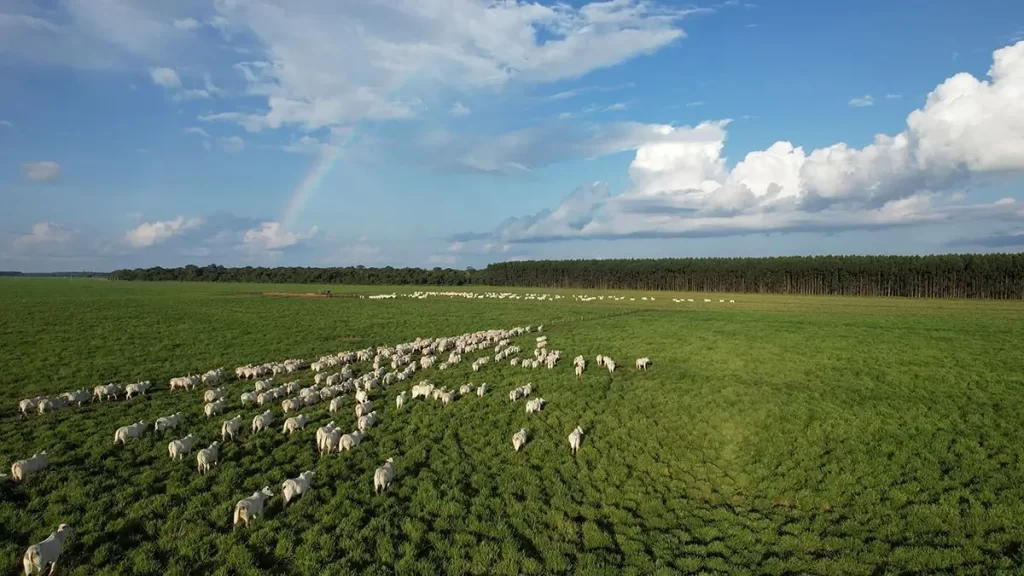 WhatsApp Image 2025 12 03 at 09.38.34 1 Atitude MT