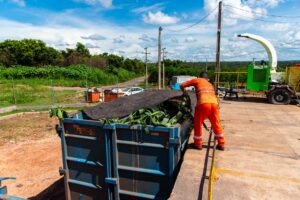 Uma fotografia em plano médio e ângulo normal que retrata o trabalho de descarte de resíduos em um ecoponto. Em primeiro plano, uma grande caçamba de metal azul está posicionada em um desnível de concreto. Dentro dela, há uma quantidade visível de folhas verdes e restos de jardinagem. Um trabalhador de costas, vestindo um uniforme de segurança laranja com faixas refletivas nas pernas e botas pretas, está em pé na rampa de concreto, cobrindo ou manuseando uma lona preta esticada sobre a caçamba. À direita, sobre a área pavimentada, há um triturador de galhos verde e branco estacionado. Ao fundo, o cenário mostra uma estrada de terra, postes de energia elétrica com fiação, vegetação verde densa de árvores e arbustos sob um céu azul ensolarado com nuvens brancas espalhadas.